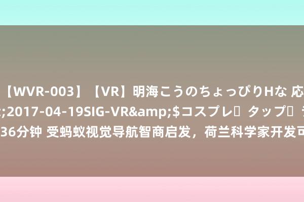 【WVR-003】【VR】明海こうのちょっぴりHな 応援 VR</a>2017-04-19SIG-VR&$コスプレ・タップ・ラッ36分钟 受蚂蚁视觉导航智商启发，荷兰科学家开发可自主导航、重 56g 的微型无东谈主机