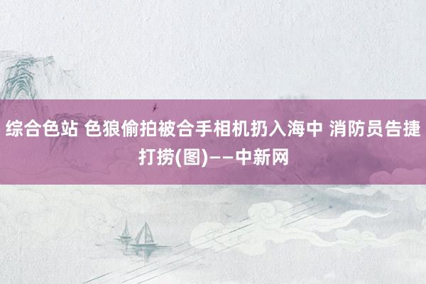 综合色站 色狼偷拍被合手相机扔入海中 消防员告捷打捞(图)——中新网