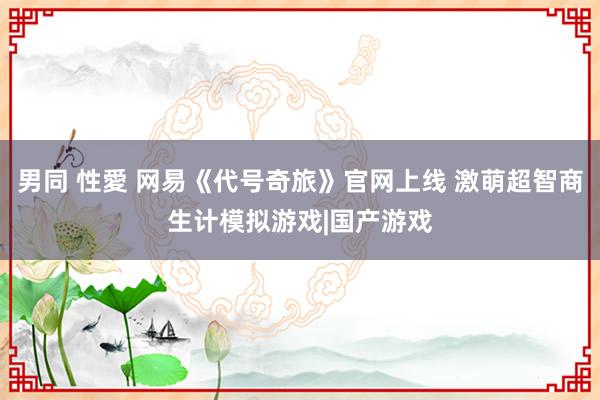 男同 性愛 网易《代号奇旅》官网上线 激萌超智商生计模拟游戏|国产游戏