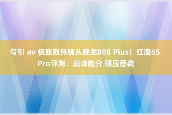 勾引 av 极致散热驯从骁龙888 Plus！红魔6S Pro评测：巅峰跑分 碾压悉数