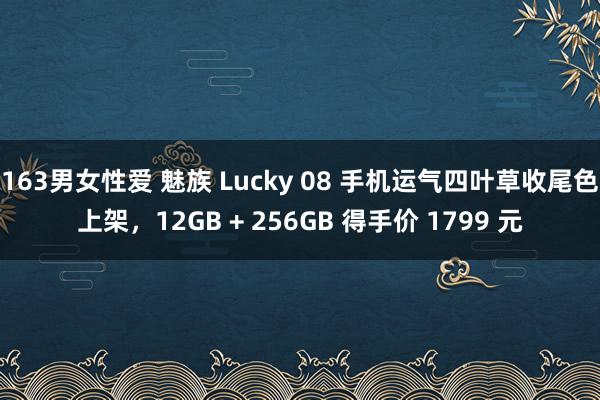 163男女性爱 魅族 Lucky 08 手机运气四叶草收尾色上架，12GB + 256GB 得手价 1799 元